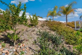 Single Family Residence, 30846 Early Round dr, Canyon Lake, CA 92587 - 31