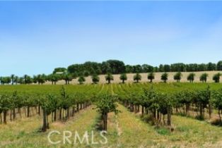 Single Family Residence, 31655 Corte Padrera, Temecula, CA 92592 - 43