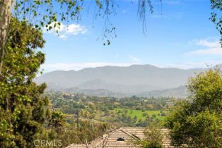 Single Family Residence, 377 Rancho Camino, Fallbrook, CA 92028 - 54