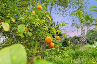 Single Family Residence, 377 Rancho Camino, Fallbrook, CA 92028 - 73