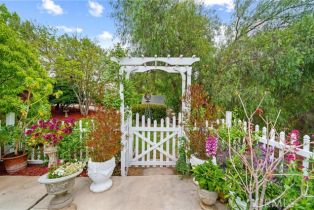 Single Family Residence, 31065 Avenida Del Reposo, Temecula, CA 92591 - 2