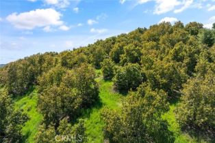 , 48825 Via Vaquero, Temecula, CA 92590 - 16