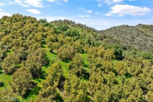 , 48825 Via Vaquero, Temecula, CA 92590 - 19