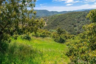 , 48825 Via Vaquero, Temecula, CA 92590 - 29