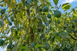 , 48825 Via Vaquero, Temecula, CA 92590 - 3