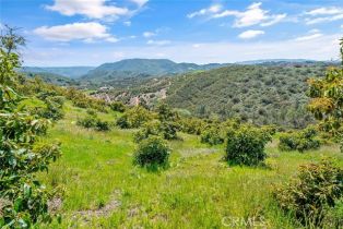, 48825 Via Vaquero, Temecula, CA 92590 - 30