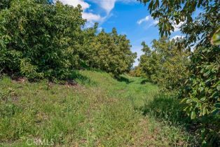 , 48825 Via Vaquero, Temecula, CA 92590 - 32