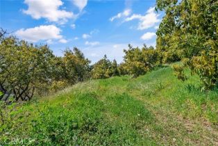 , 48825 Via Vaquero, Temecula, CA 92590 - 33