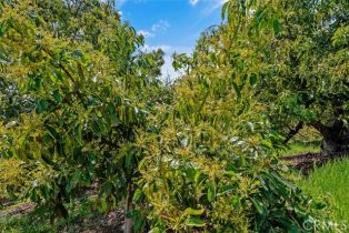 , 48825 Via Vaquero, Temecula, CA 92590 - 34