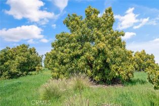 , 48825 Via Vaquero, Temecula, CA 92590 - 35