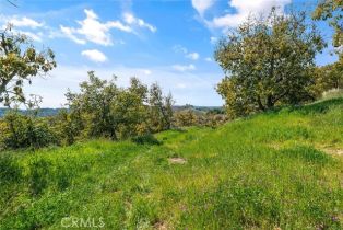 , 48825 Via Vaquero, Temecula, CA 92590 - 36