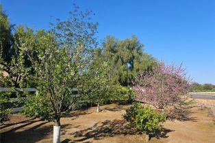 Single Family Residence, 19315 Avenida Cordoba, Murrieta, CA 92562 - 60