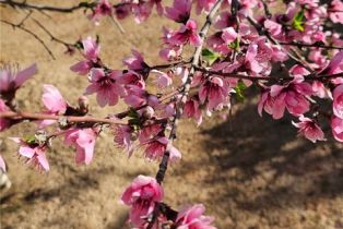 Single Family Residence, 19315 Avenida Cordoba, Murrieta, CA 92562 - 62