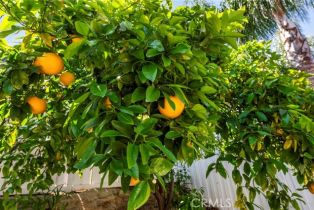 Single Family Residence, 40870 Bouvier ct, Murrieta, CA 92562 - 54