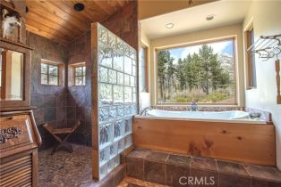 Single Family Residence, 58111 Bonita Vista rd, Mountain Center, CA 92561 - 38