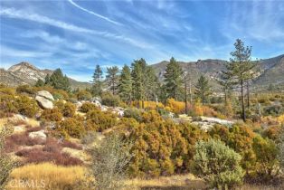 Single Family Residence, 58111 Bonita Vista rd, Mountain Center, CA 92561 - 4