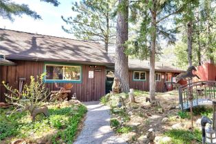 Single Family Residence, 58111 Bonita Vista rd, Mountain Center, CA 92561 - 43