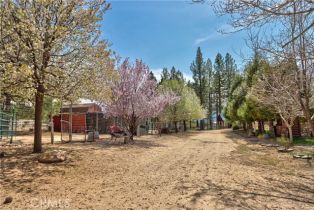 Single Family Residence, 58111 Bonita Vista rd, Mountain Center, CA 92561 - 57