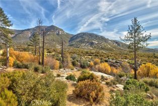 Single Family Residence, 58111 Bonita Vista rd, Mountain Center, CA 92561 - 58