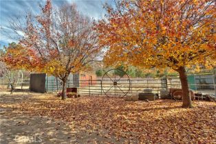 Single Family Residence, 58111 Bonita Vista rd, Mountain Center, CA 92561 - 59