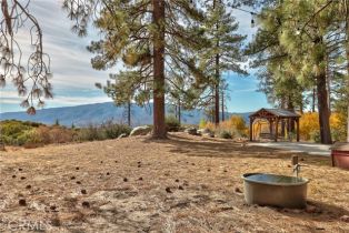 Single Family Residence, 58111 Bonita Vista rd, Mountain Center, CA 92561 - 65