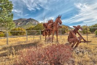 Single Family Residence, 58111 Bonita Vista rd, Mountain Center, CA 92561 - 66