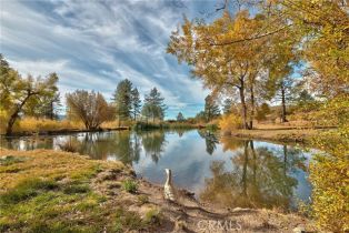 Single Family Residence, 58111 Bonita Vista rd, Mountain Center, CA 92561 - 75