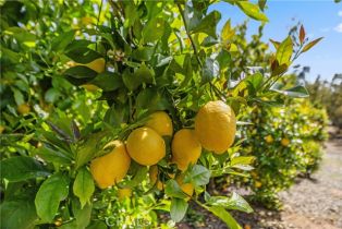 Single Family Residence, 47100 Sandia Creek dr, Temecula, CA 92590 - 4