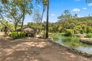 Single Family Residence, 47100 Sandia Creek dr, Temecula, CA 92590 - 63