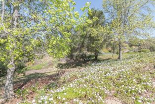 Single Family Residence, 1471 Via Monserate, Fallbrook, CA 92028 - 36