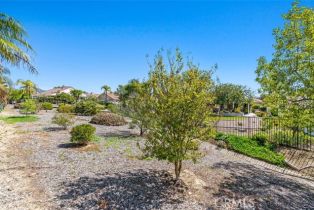 Single Family Residence, 40604 Corte Albara, Murrieta, CA 92562 - 21