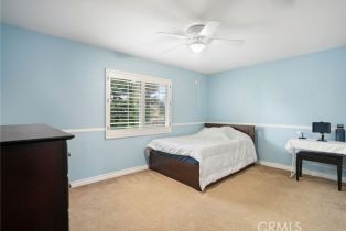 Single Family Residence, 33652 Shamrock ln, Murrieta, CA 92563 - 25