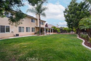 Single Family Residence, 33652 Shamrock ln, Murrieta, CA 92563 - 32