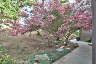 Condominium, 23782 Hillhurst dr, Laguna Niguel, CA 92677 - 55