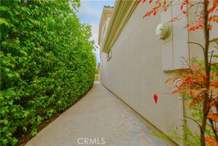 Single Family Residence, 29515 Longhorn dr, Canyon Lake, CA 92587 - 54