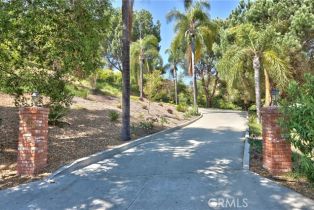 Single Family Residence, 3456 Los Sicomoros ln, Fallbrook, CA 92028 - 36