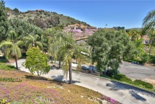 Single Family Residence, 3456 Los Sicomoros ln, Fallbrook, CA 92028 - 37