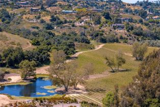 Single Family Residence, 3456 Los Sicomoros ln, Fallbrook, CA 92028 - 43