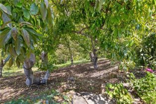 Single Family Residence, 2918 Los Campos dr, Fallbrook, CA 92028 - 52