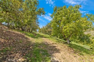 Single Family Residence, 2918 Los Campos dr, Fallbrook, CA 92028 - 55