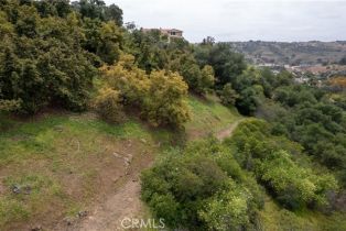 Single Family Residence, 2918 Los Campos dr, Fallbrook, CA 92028 - 57