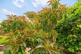 Single Family Residence, 522 Shady Glen dr, Fallbrook, CA 92028 - 29