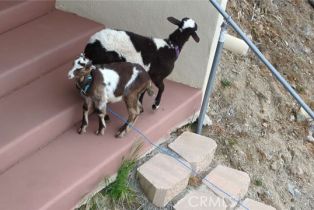 Single Family Residence, 3335 Red Mountain Heights dr, Fallbrook, CA 92028 - 9