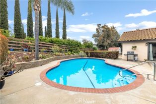 Single Family Residence, 1028 Capra way, Fallbrook, CA 92028 - 41