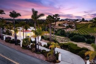 Single Family Residence, 4462 Fallsbrae rd, Fallbrook, CA 92028 - 41