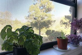 Single Family Residence, 70020 Pines To Palms, Mountain Center, CA 92561 - 27