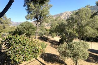 Single Family Residence, 70020 Pines To Palms, Mountain Center, CA 92561 - 32