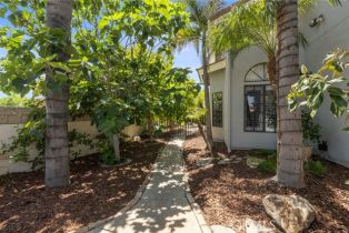 Single Family Residence, 31502 Emperor dr, Canyon Lake, CA 92587 - 66