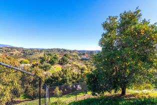 Single Family Residence, 3322 Canonita dr, Fallbrook, CA 92028 - 18