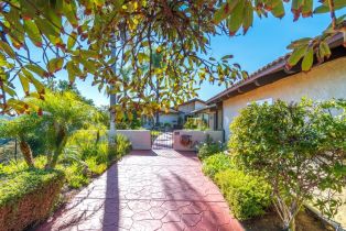 Single Family Residence, 3322 Canonita dr, Fallbrook, CA 92028 - 5